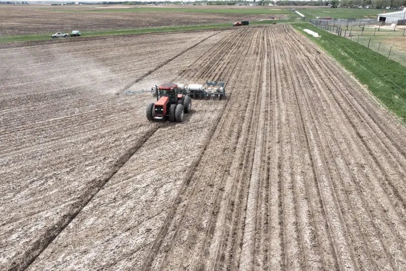 Lime Isn't Always the Answer: How Chasing the Perfect pH Could Be Costing You More Than You Think