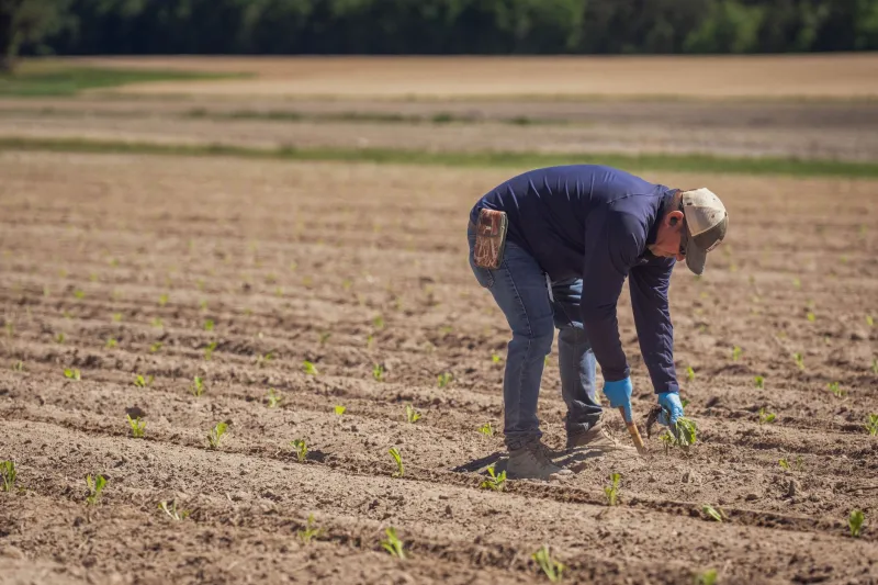 What Your Soil Carbon Numbers Are Actually Telling You — And Why the Testing Method You Choose Could Make or Break Your Bottom Line