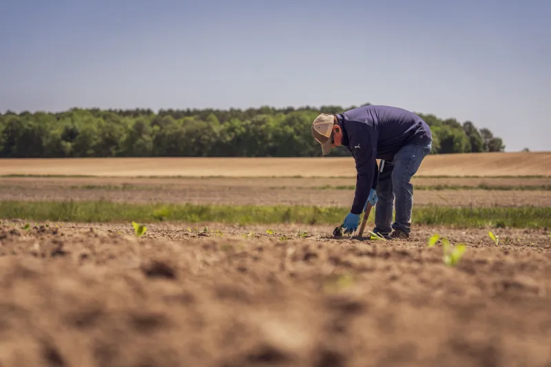 Stop Chasing Numbers: The Real Reason Your Soil pH Won't Stay Put — and What to Do About It