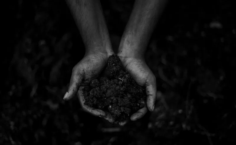 Your Soil Is Breathing — But Are You Listening? What Respiration Tests Reveal That Your Standard Soil Report Never Will