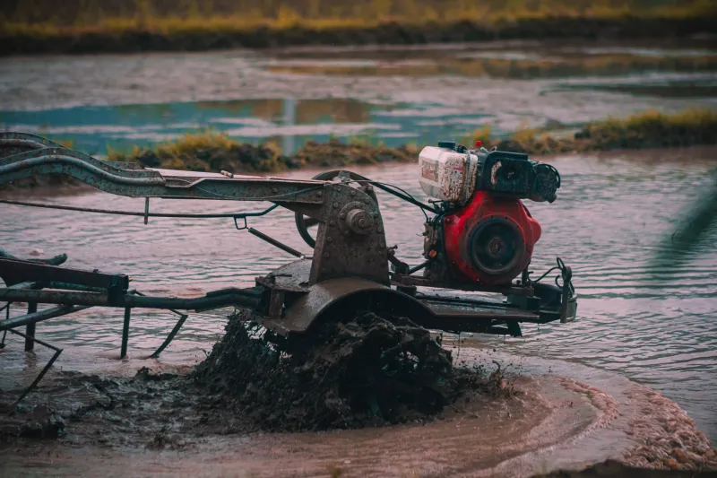 Don't Let Mud Season Make Your Worst Decisions for You: A Science-Backed Guide to Spring Soil Management in Wisconsin