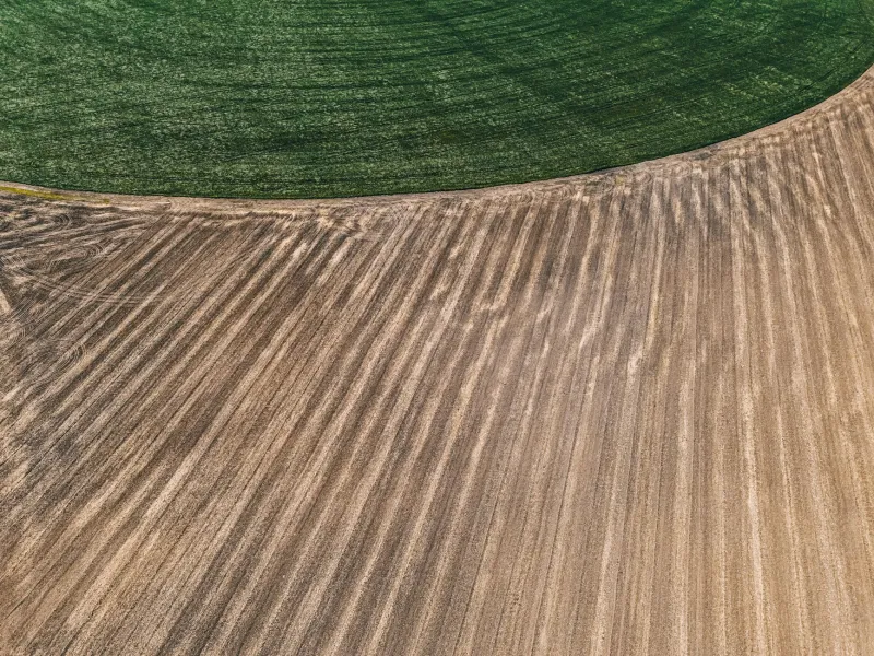 What's Happening Below the Plow Layer Is Costing You More Than You Think