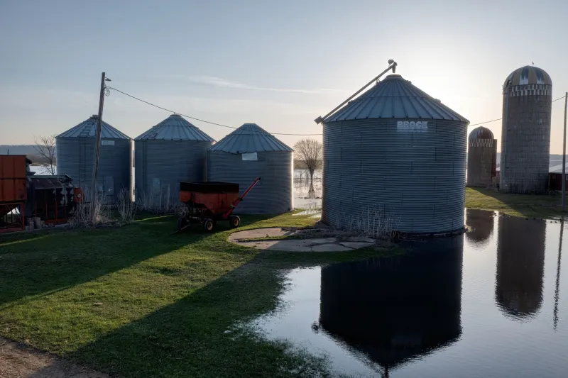 Wet Fields, Hard Choices: Rethinking Tile Drainage Before You Dig Another Trench