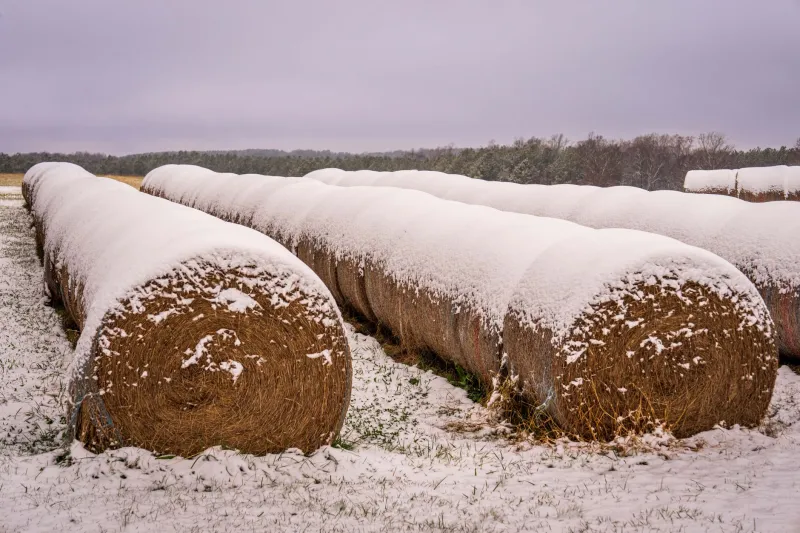 Winter Isn't Waiting: How to Make Wisconsin's Freeze-Thaw Cycles Work For Your Soil Instead of Against It
